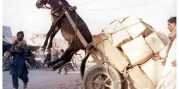 Την ημέρα που η Γραφειοκρατία πήρε εκδίκηση από την Ηλεκτρονική Διακυβέρνηση. Ονειρο εφιαλτικό άμα τε και ερινυώδες εν όψει και των «τρίστοιχων» Cloud Data Centers.